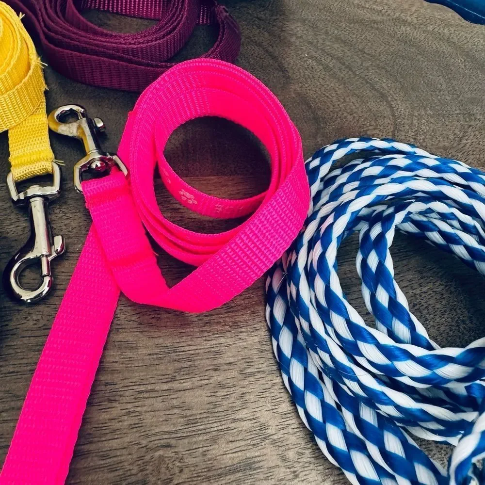 8-pc Dog Leash Pet Care Bundle Lot